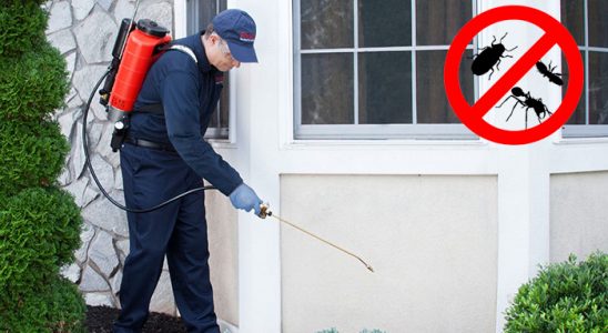 Yedisu Kemirgen İlaçlama böcek ilaçlama ve haşere kontrolü — ilaclama-tr.com